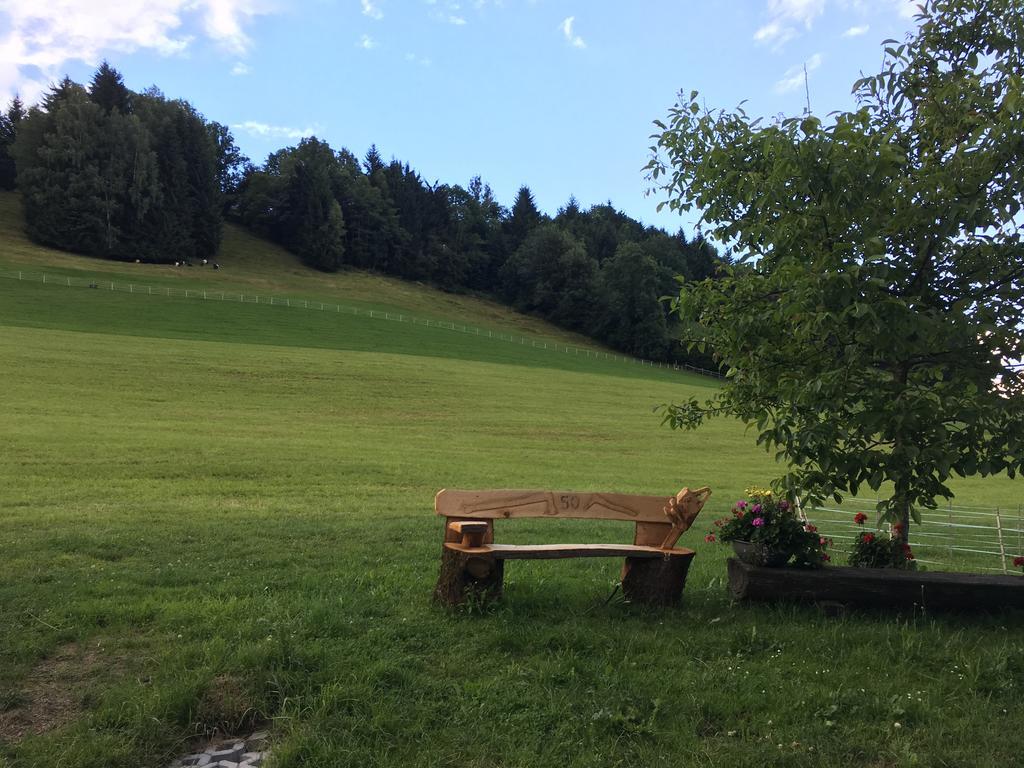 Apartment With Garden Garden Furniture Bbq Taxenbach Bagian luar foto